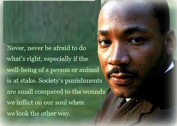 MARTIN LUTHER KING (5/6)